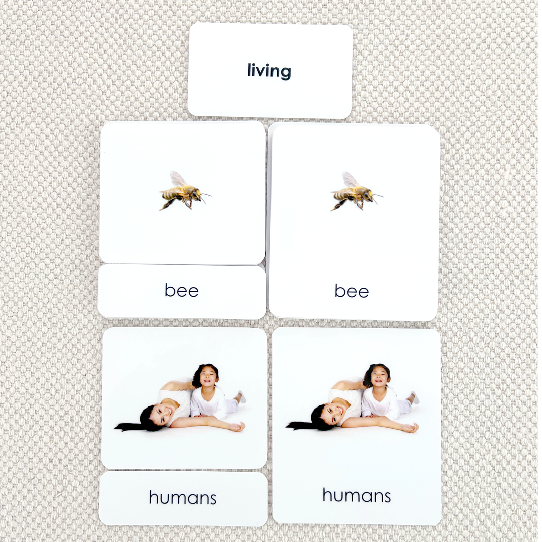 Living 3-Part Reading