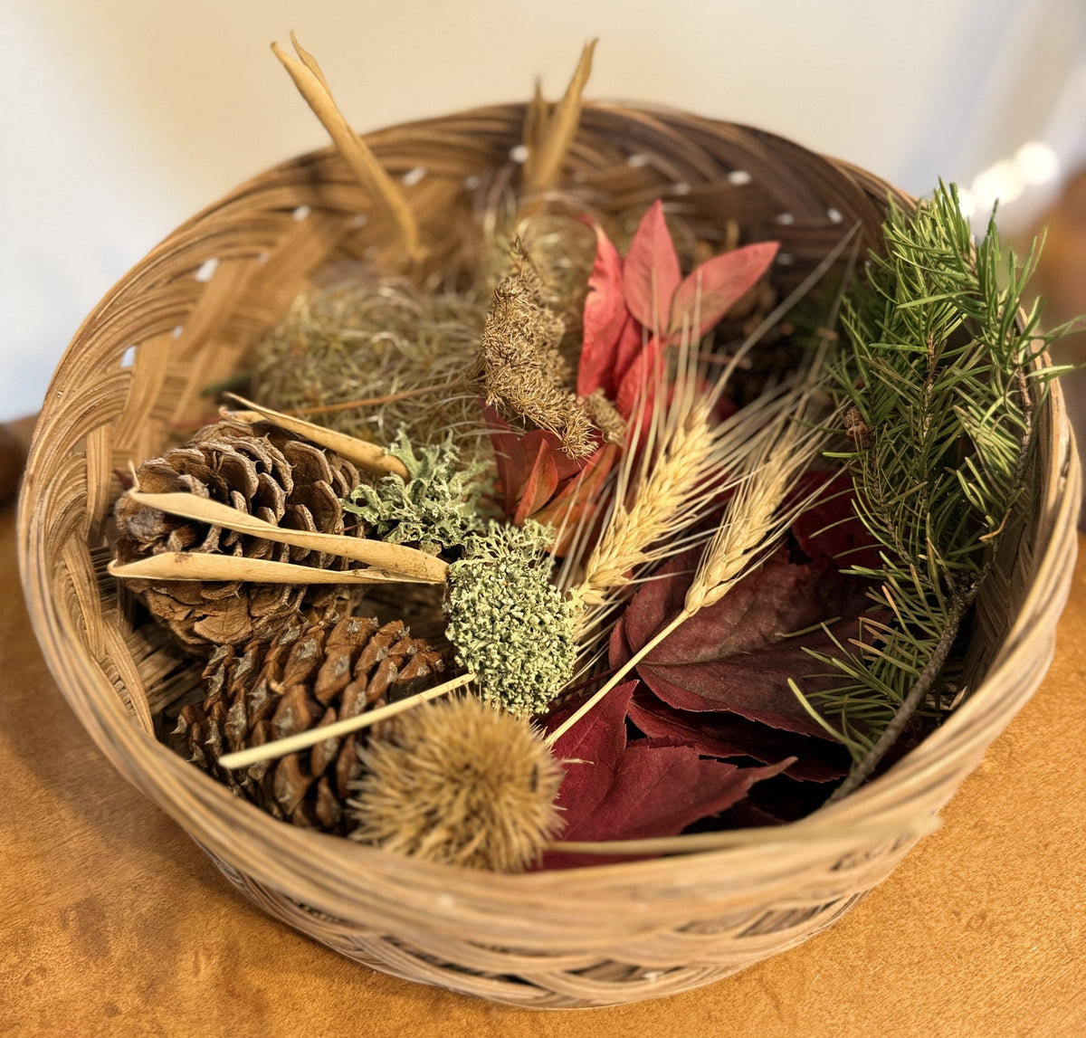 Bringing Fall Into the Classroom
