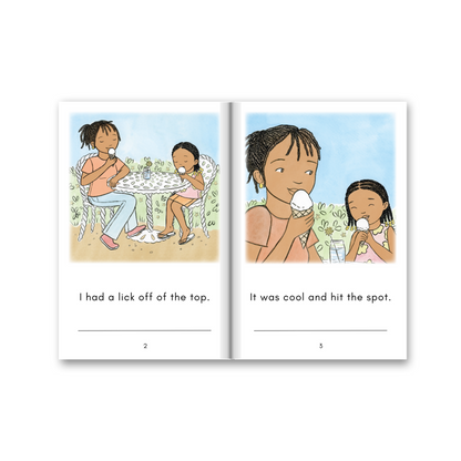 Level 4: Six Decodable Books