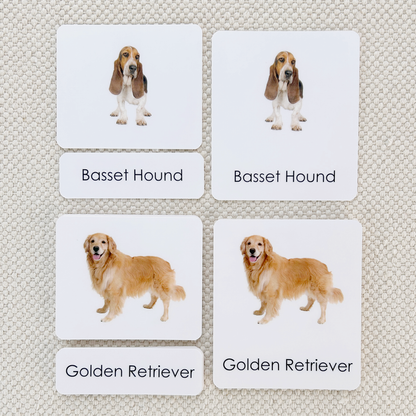 Dogs 3-Part Reading