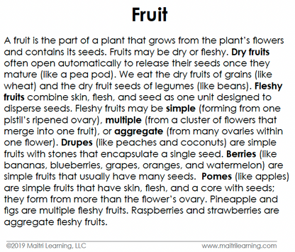 Fruit Toddler Cards