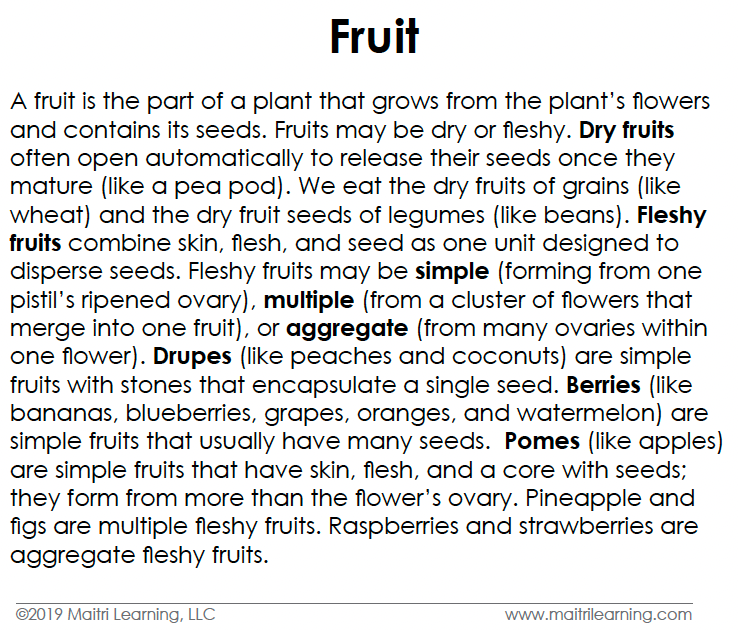 Fruit Toddler Cards