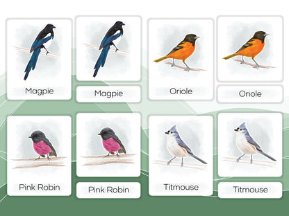 Nomenclature Cards Set - Illustrated Birds