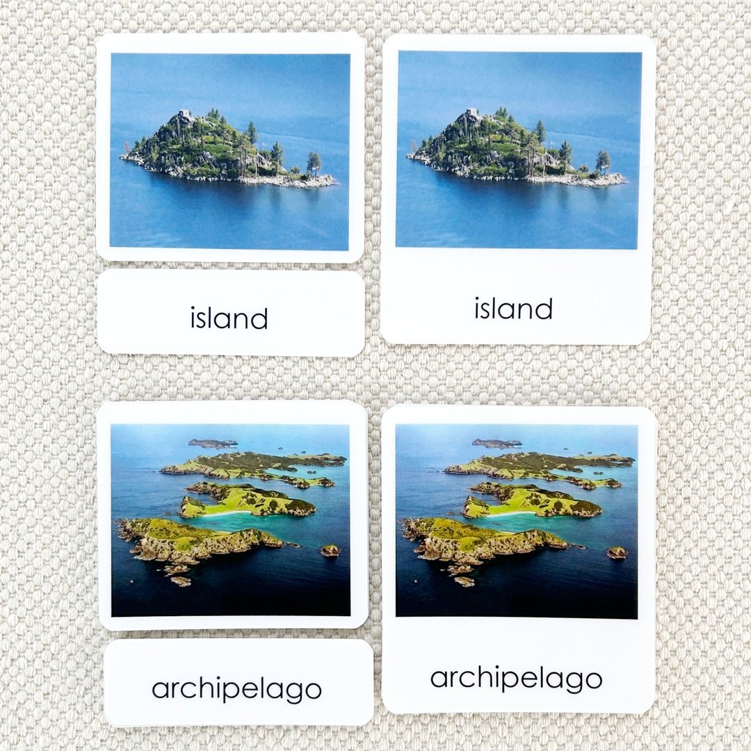 Land & Water 1 Book & Card Set
