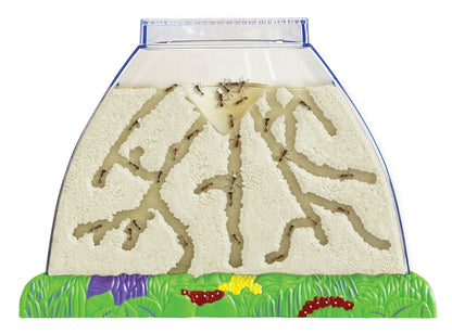 Ant Hill Tunnelling Kit with LIVE Tubes of Harvester Ants