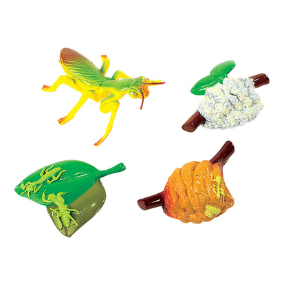 Praying Mantis Life Cycle Figures (4-Piece Set)