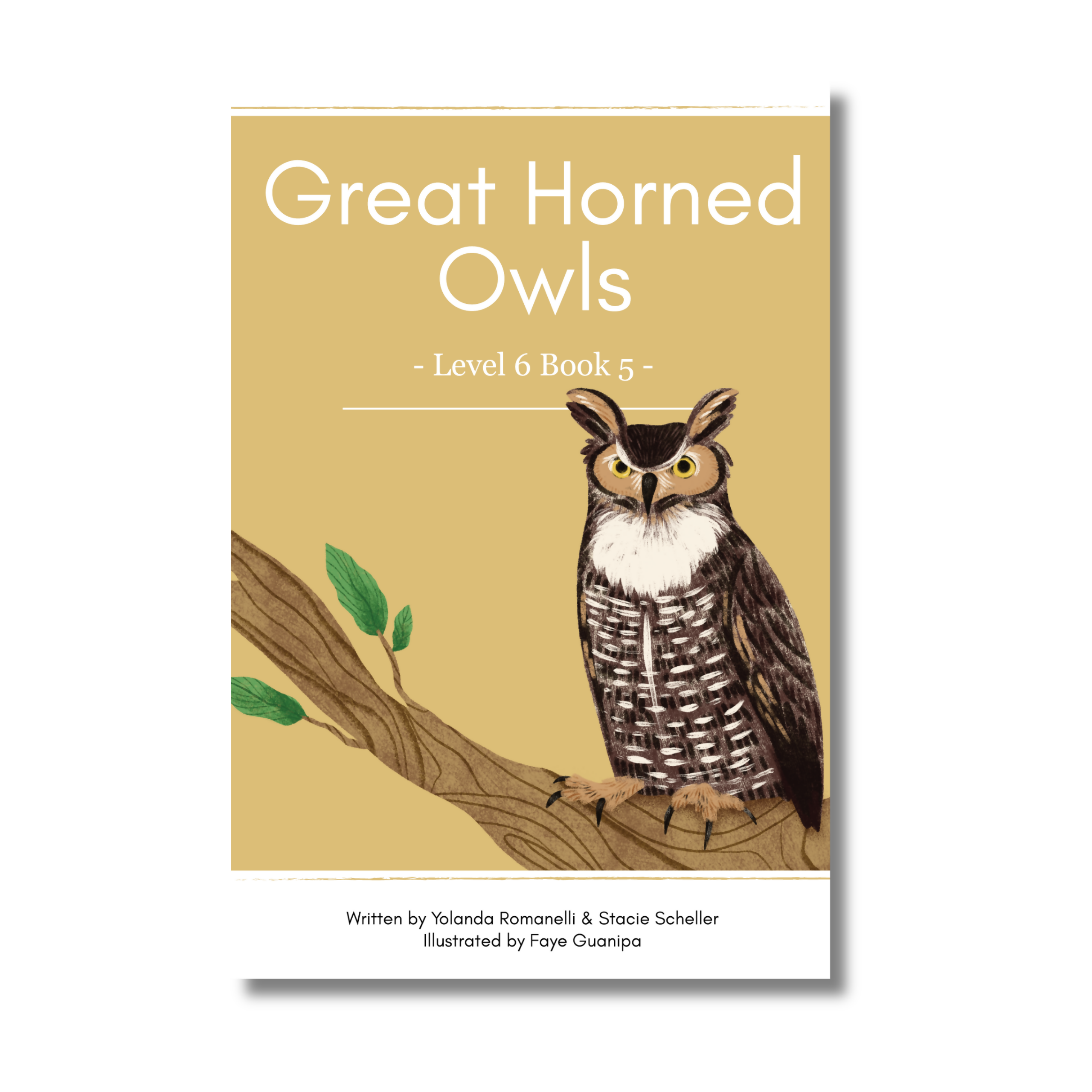 Level 6: Six Decodable Books