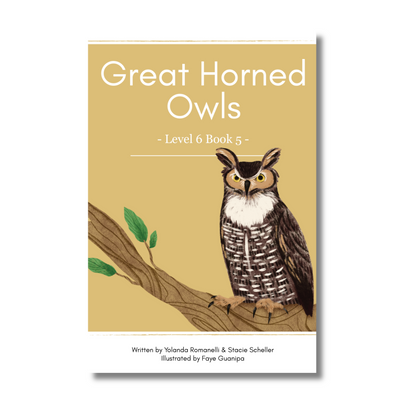 Level 6: Six Decodable Books