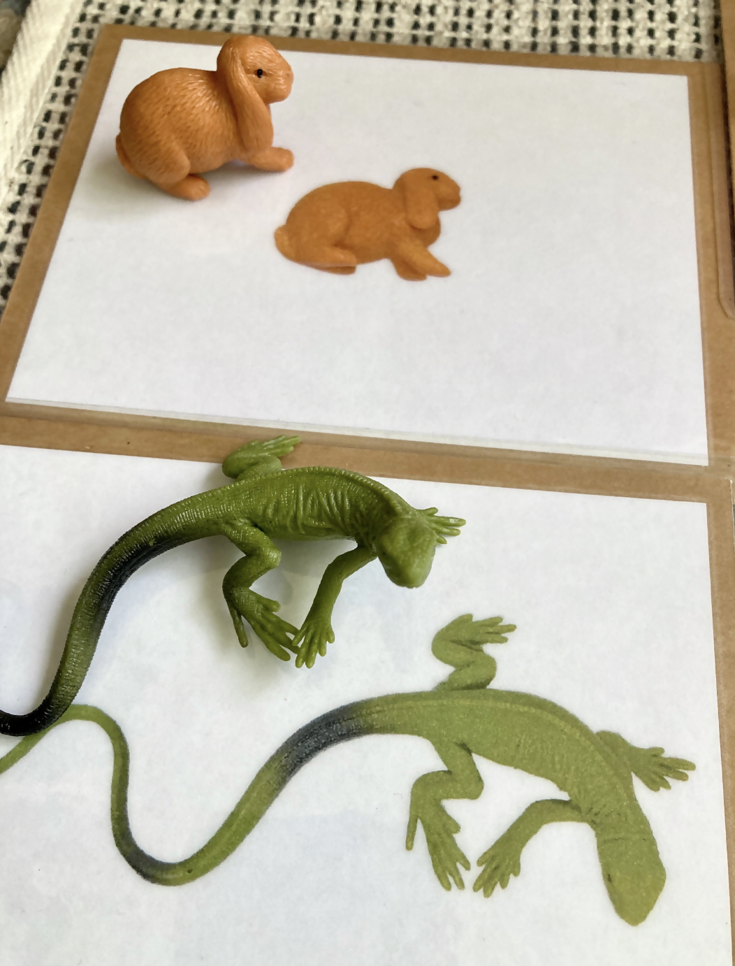Exact Matching Language Objects and Digital PDF Cards - Pets - Montessori Toddler Activity for Vocabulary development