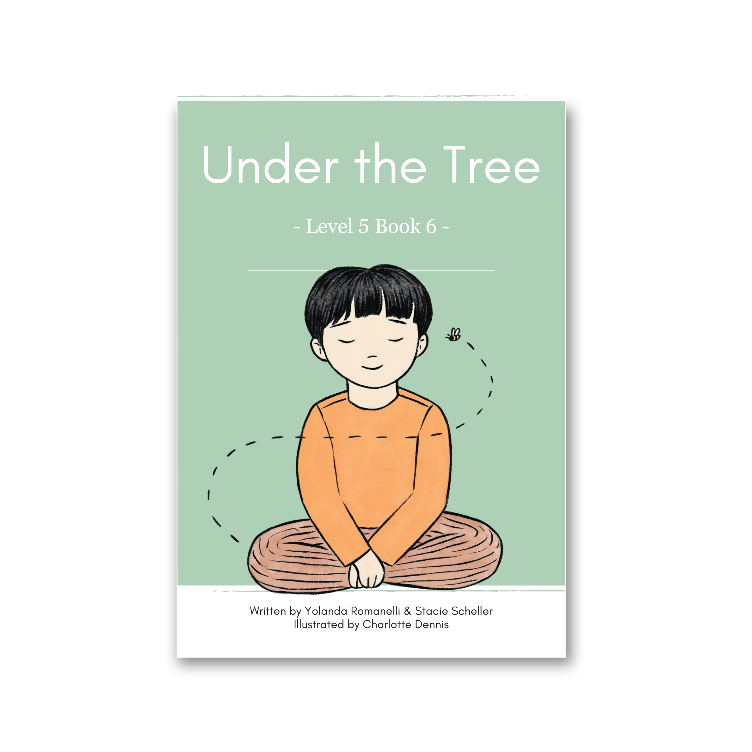 Level 5: Six Decodable Books