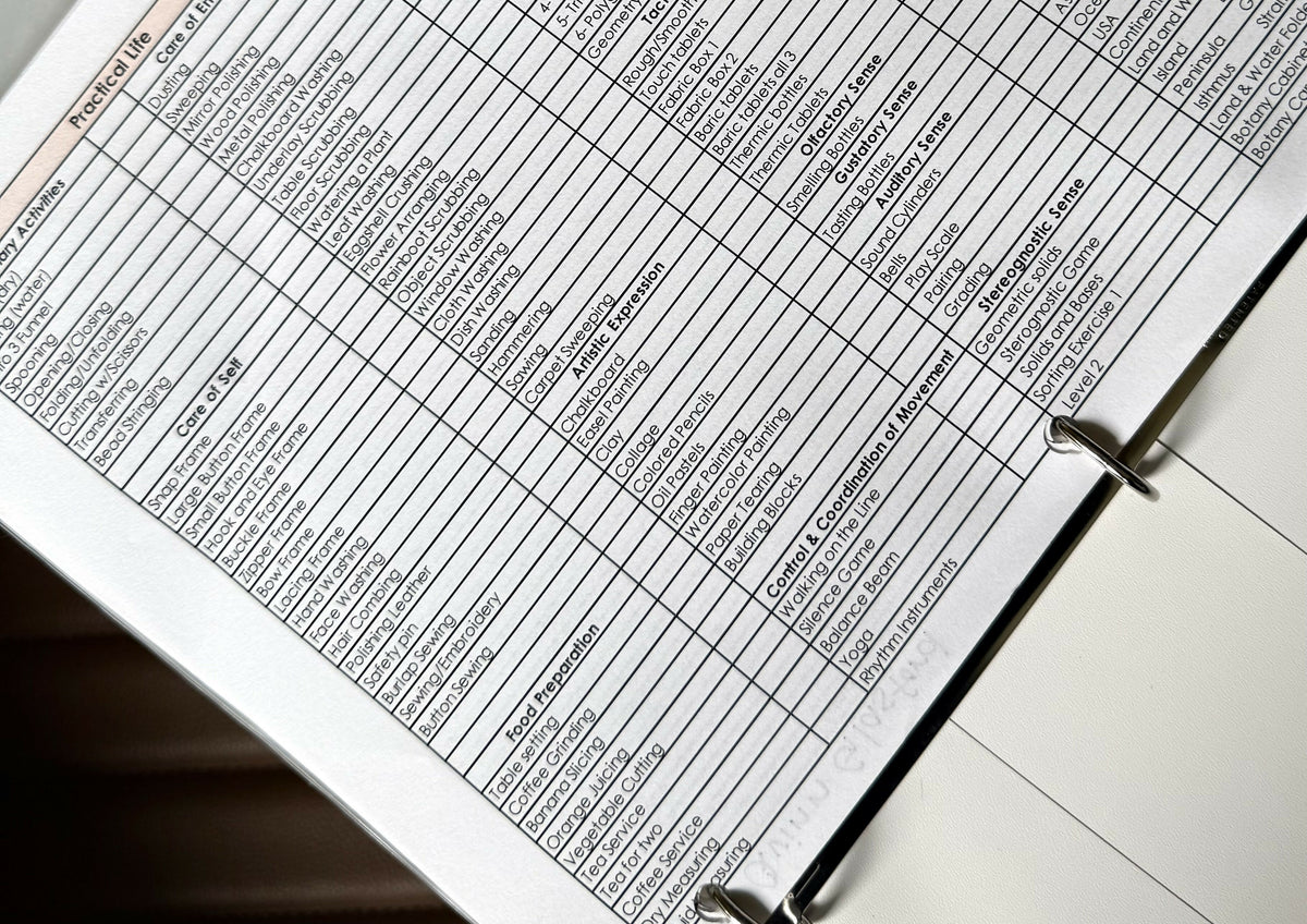 Three to Six Record Keeping and Lesson Planning Checklist, Editable Excel Template.