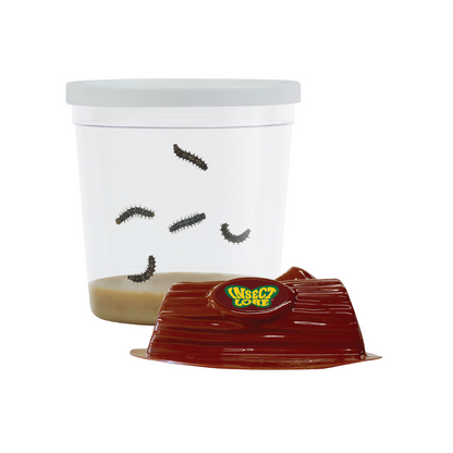 Cup of Caterpillars Refill