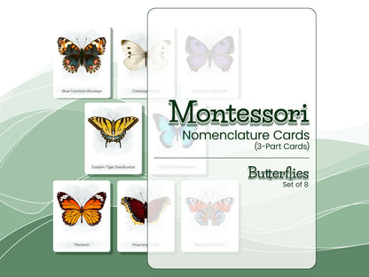 Nomenclature Cards Set - Illustrated Butterflies