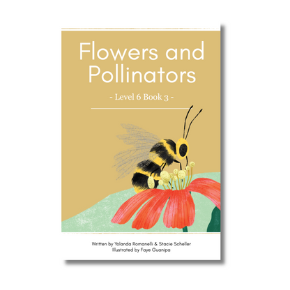 Level 6: Six Decodable Books