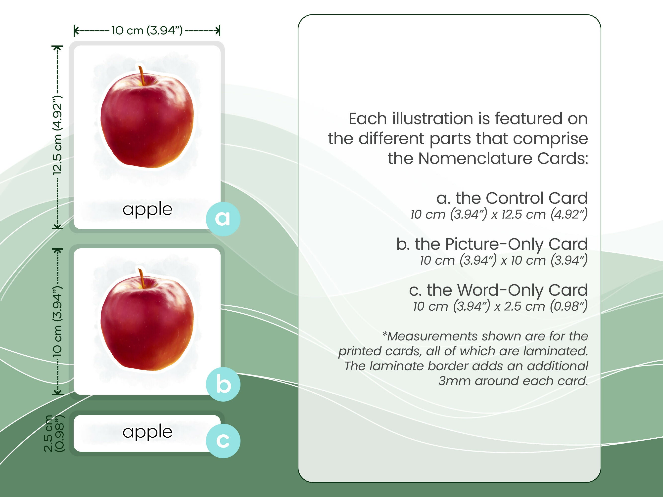 Nomenclature Cards Set - Illustrated Fruits