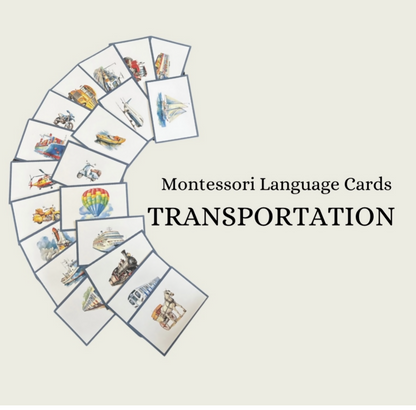 Transportation Language Cards