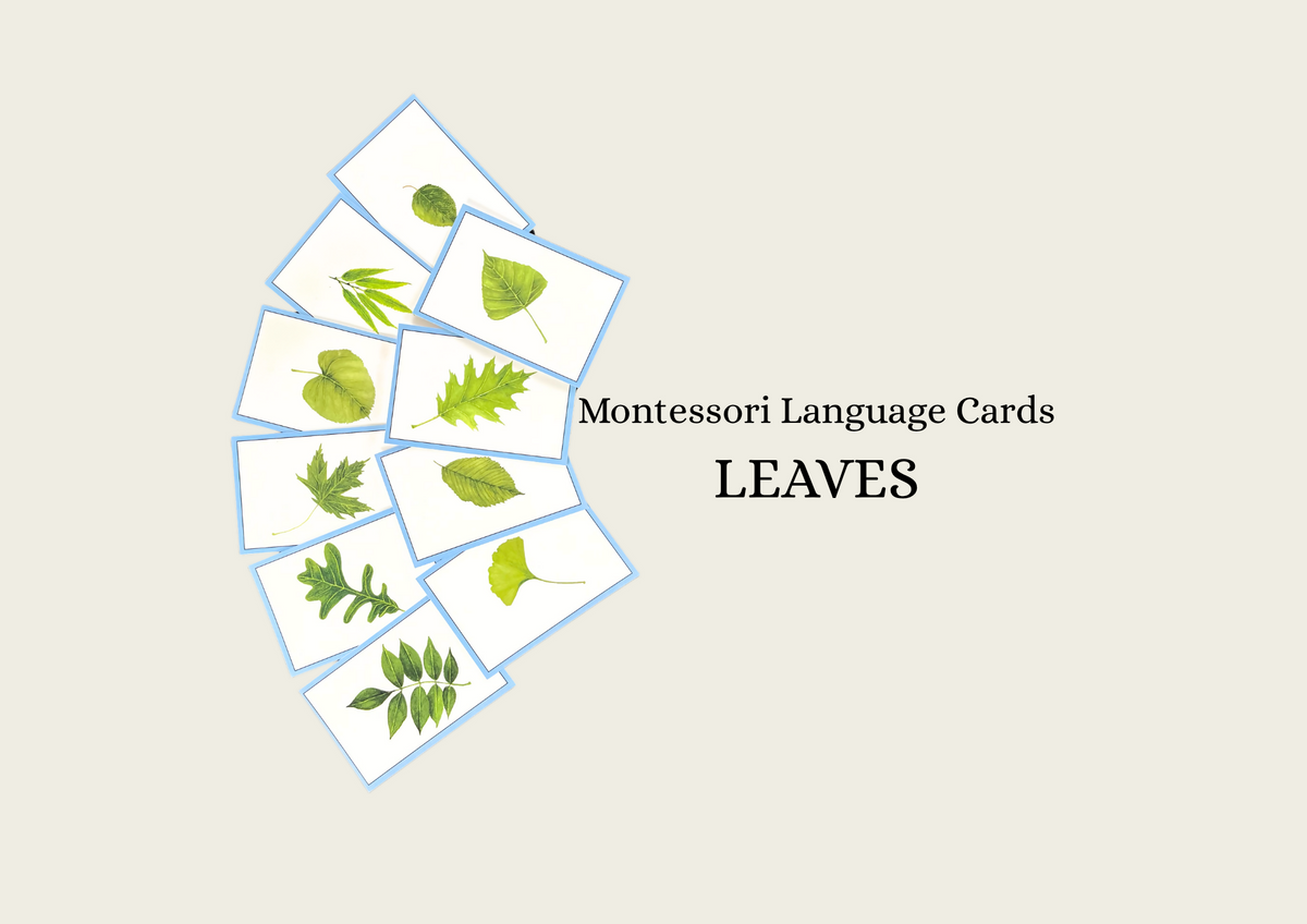 Leaves (Hand-drawn) Language Cards