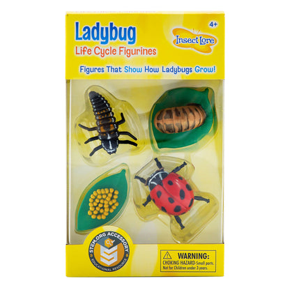 Ladybug Life Cycle Figures (4-Piece Set)