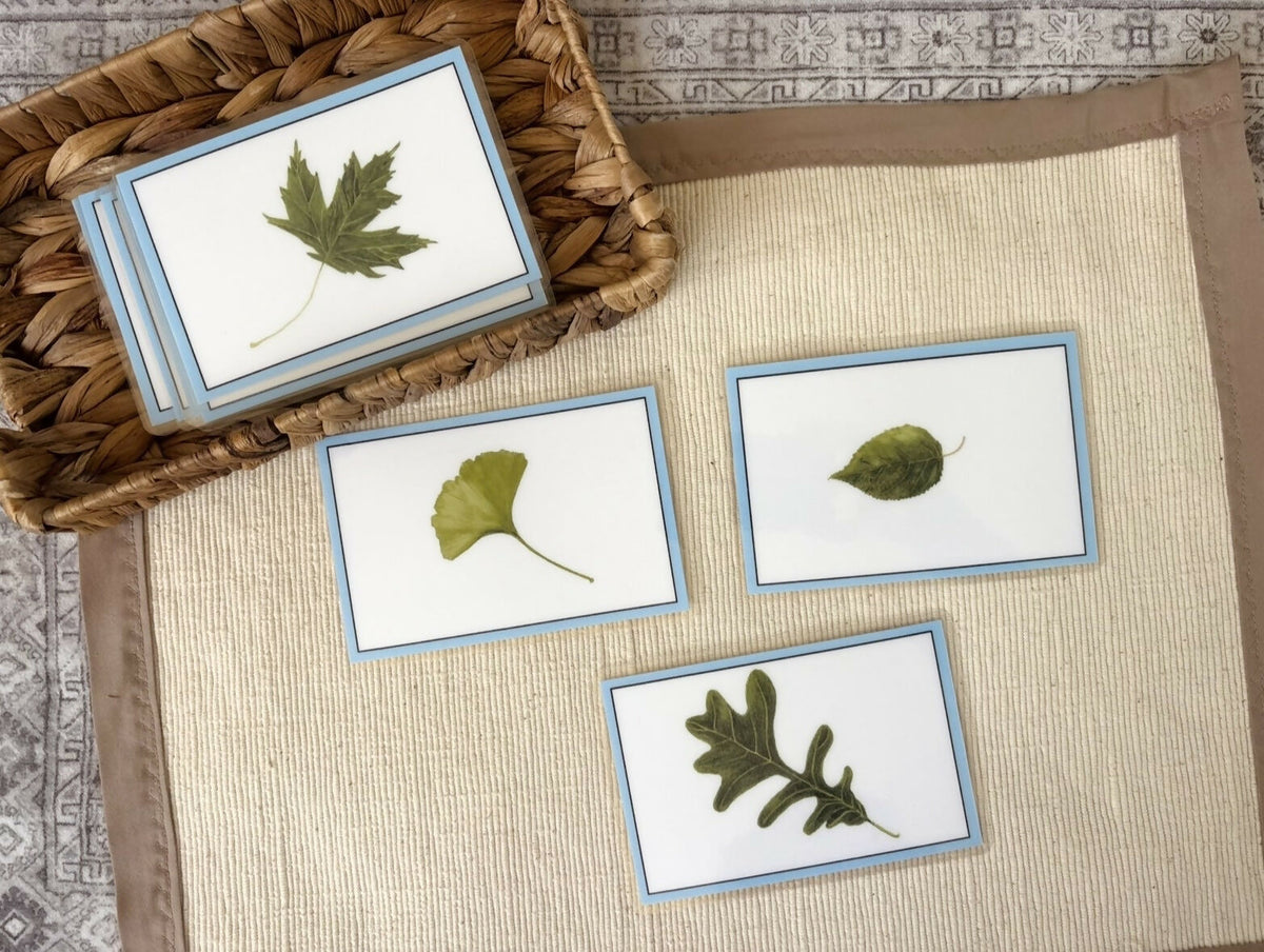 Leaves (Hand-drawn) Language Cards