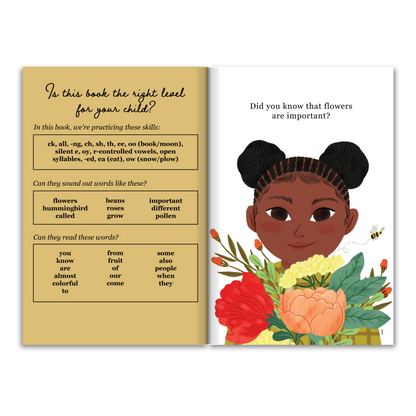 Level 6: Six Decodable Books