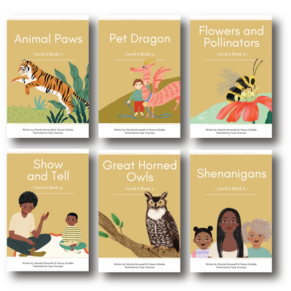 Level 6: Six Decodable Books