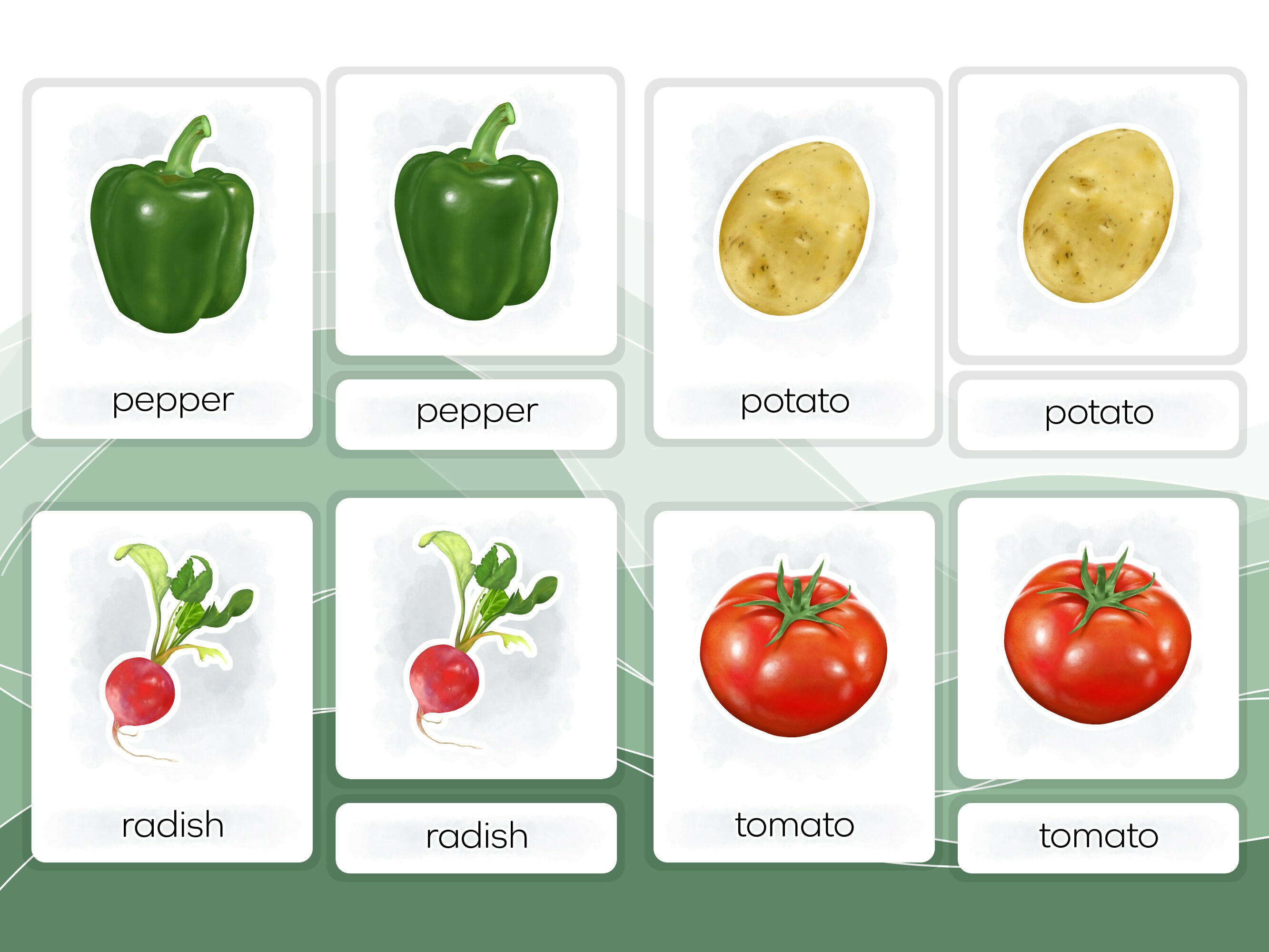 Nomenclature Cards Set - Illustrated Vegetables