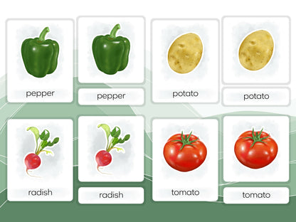 Nomenclature Cards Set - Illustrated Vegetables
