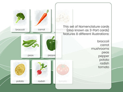Nomenclature Cards Set - Illustrated Vegetables