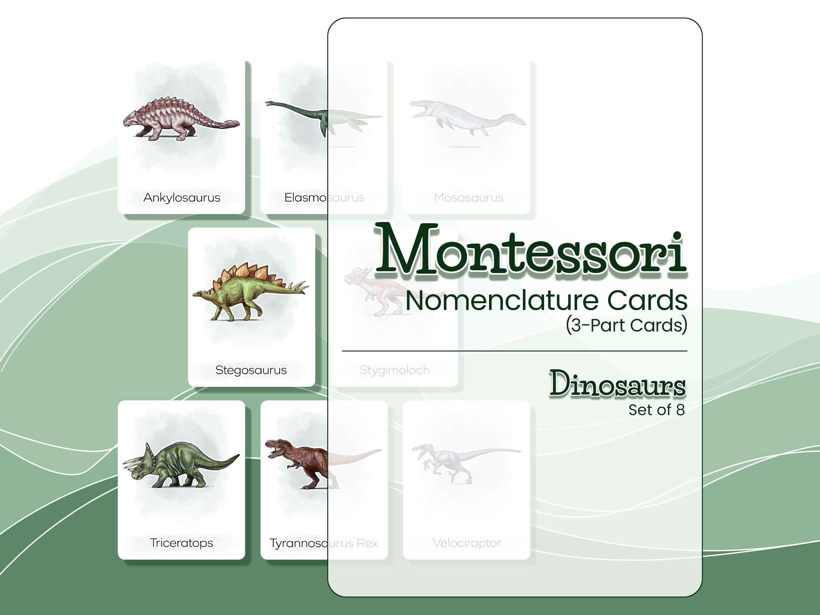 Nomenclature Cards Set - Illustrated Dinosaurs