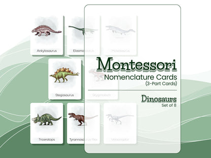 Nomenclature Cards Set - Illustrated Dinosaurs