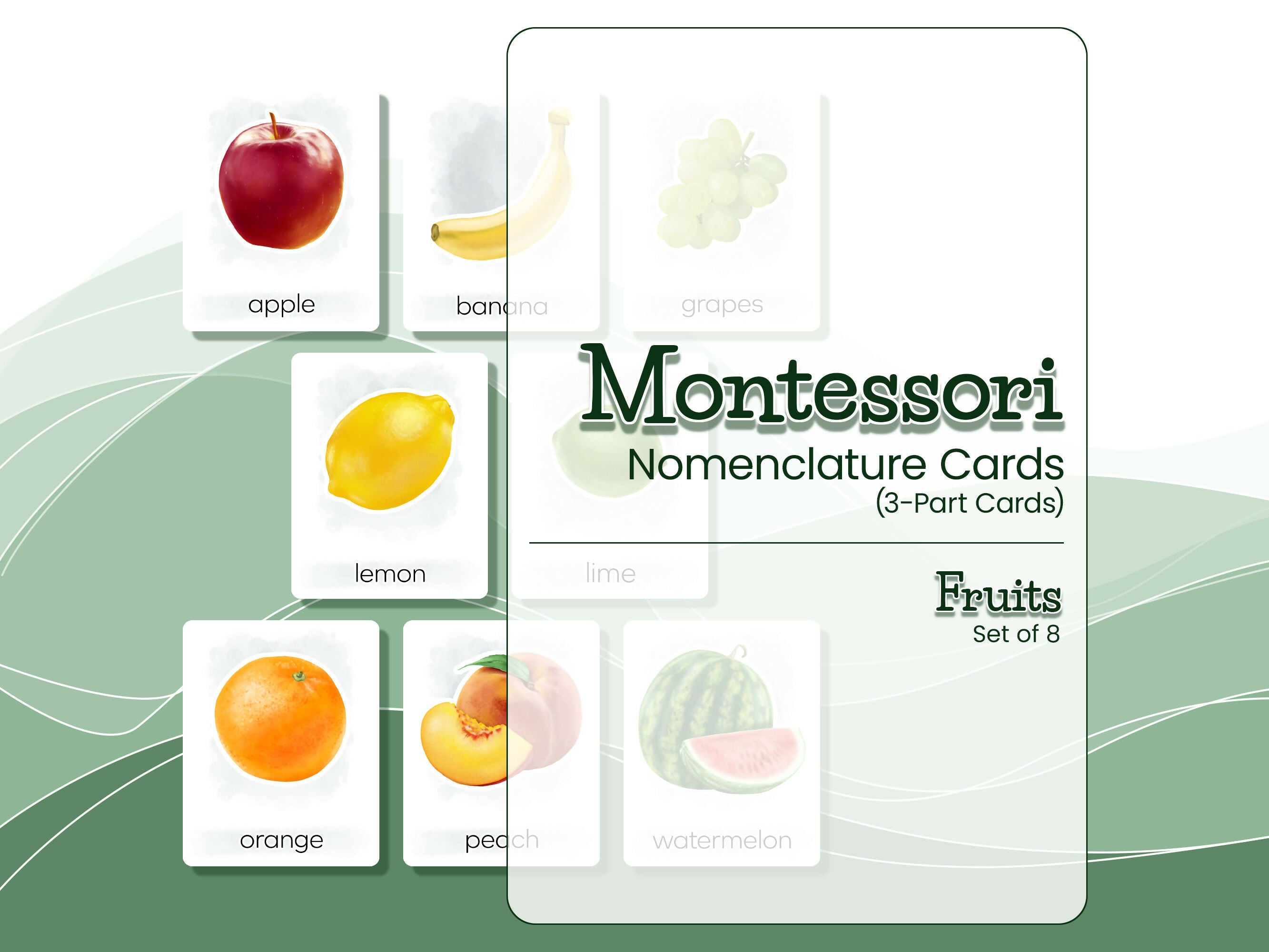 Nomenclature Cards Set - Illustrated Fruits