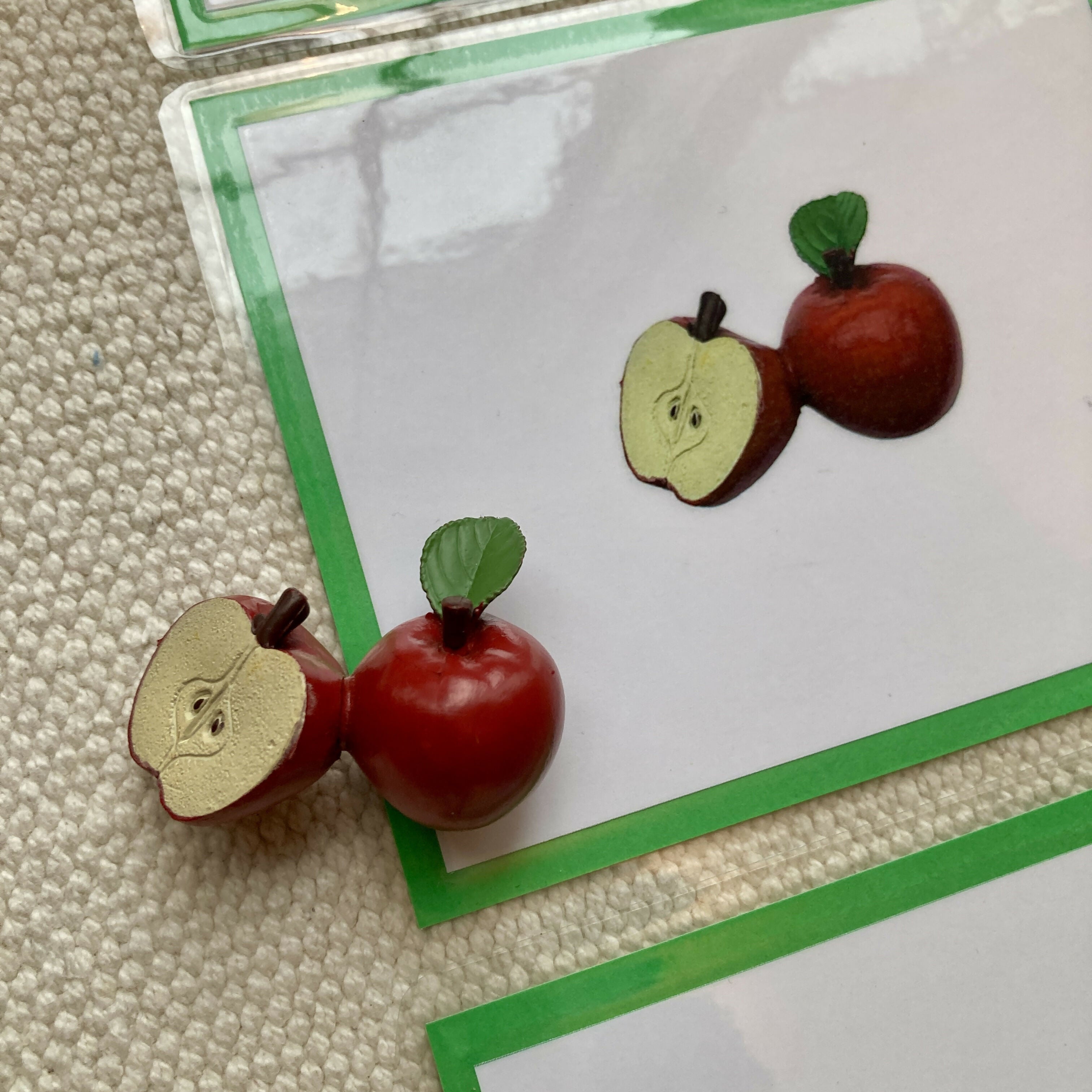 Exact Matching Language Objects and Digital PDF Cards - Fruits & Vegetables - Montessori Toddler Activity for Vocabulary development
