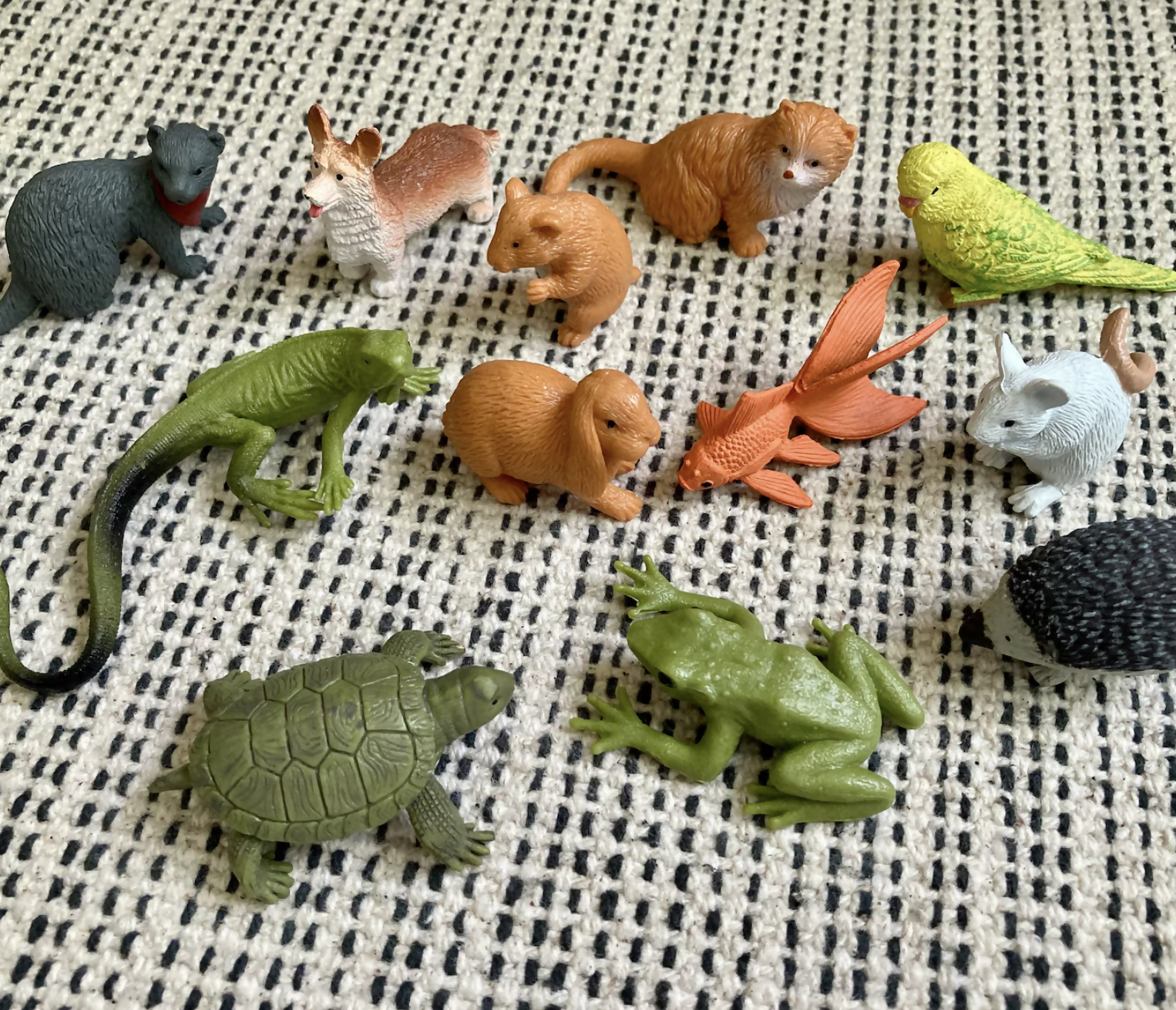 Exact Matching Language Objects and Digital PDF Cards - Pets - Montessori Toddler Activity for Vocabulary development