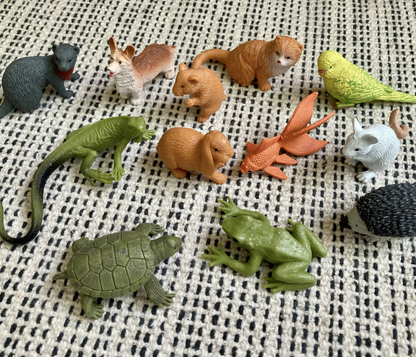 Exact Matching Language Objects and Digital PDF Cards - Pets - Montessori Toddler Activity for Vocabulary development
