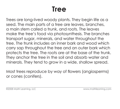 Parts of the Tree Definitions