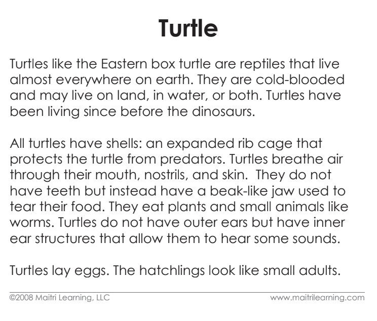 Parts of the Turtle Book & Card Set