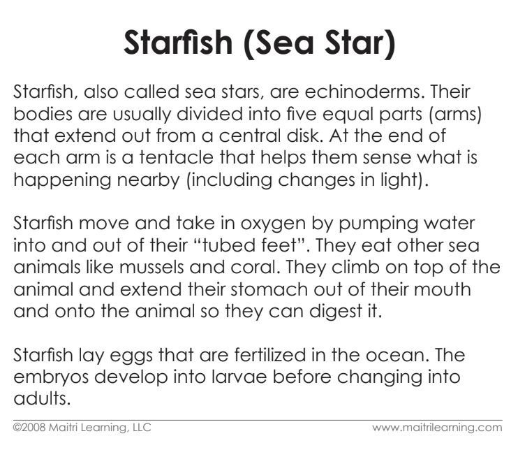 Parts of the Sea Star Vocabulary