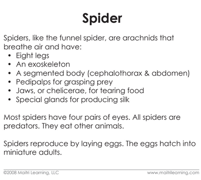 Parts of the Spider Definitions