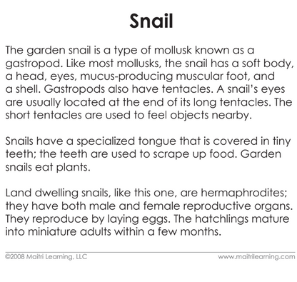 Parts of the Snail Book & Card Set