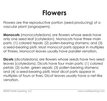 Parts of the Flower (Monocot) Book