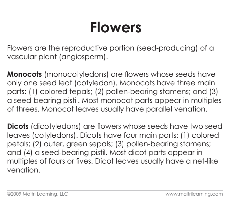 Parts of the Flower (Monocot) Definitions