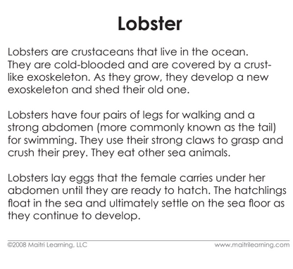Parts of the Lobster Book