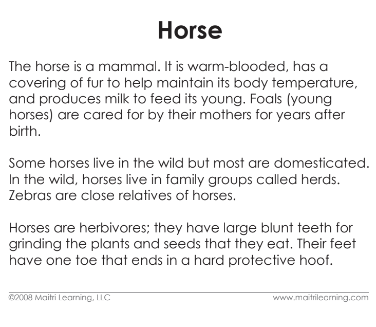 Parts of the Horse Definitions