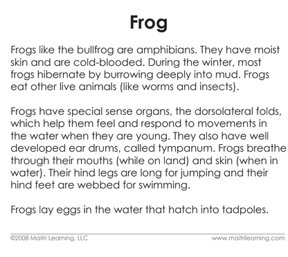 Parts of the Frog Vocabulary