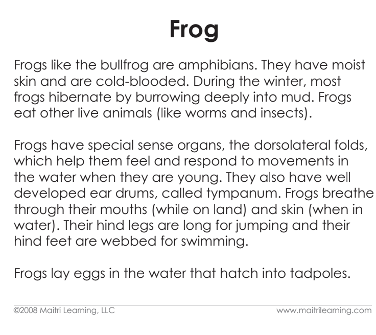 Parts of the Frog Vocabulary