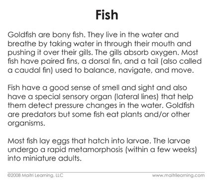 Parts of the Fish Book & Card Set