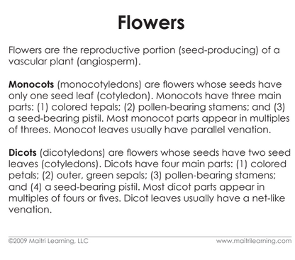 Imperfect Parts of the Dicot Flower Vocabulary - Maitri Learning