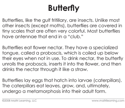 Parts of the Butterfly Book