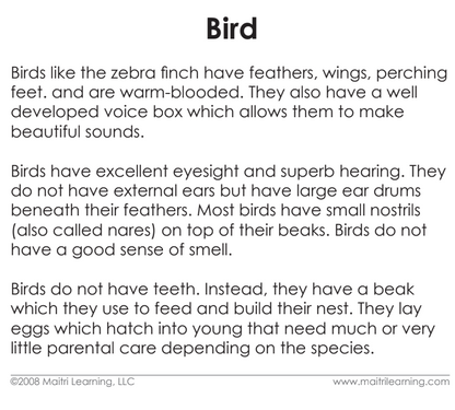 Parts of the Bird 3-Part Reading