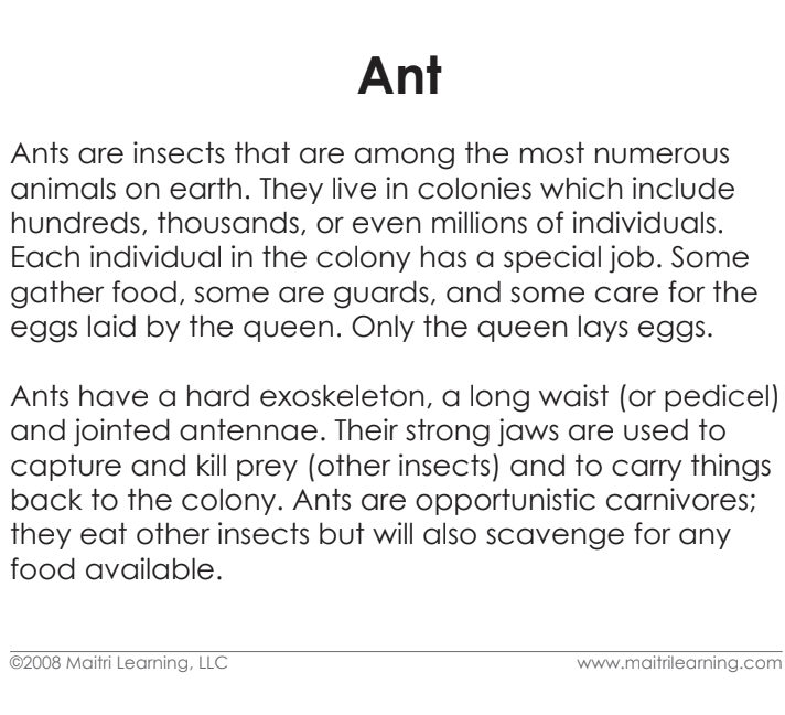 Parts of the Ant Vocabulary